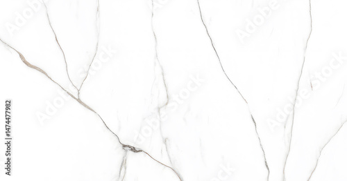 Elegant white marble stone design with intricate natural veining creating a luxurious appearance for interior decor and design projects.