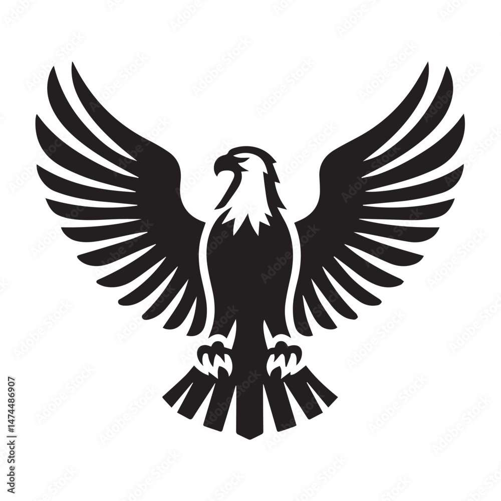 Fototapeta premium Black Eagle Graphics Set