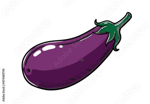 Eggplant illustration showcasing fresh vegetable in vibrant colors and detail