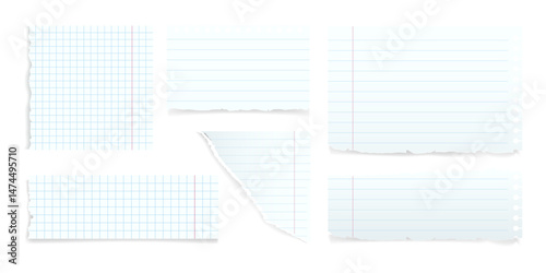 Square and line paper list ripped vector set. Ripped square and lined paper designs
