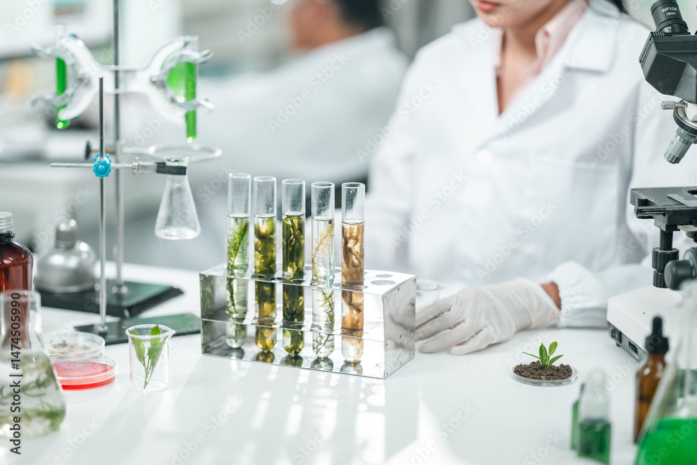 Fototapeta premium Scientists examining plant and algae samples in a modern laboratory, conducting pharmaceutical research to develop innovative medicine and explore natural treatments through advanced biotechnology