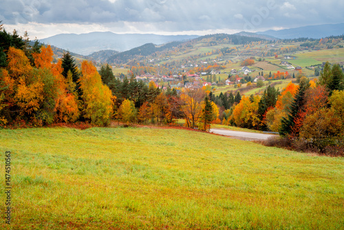 Fototapeta Naklejka Na Ścianę i Meble -  Picturesque autumn landscape of Polish mountains. Colorful trees, mountain view, fields Beskidy, Poland.	
