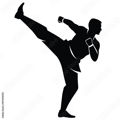 Silhouette shows powerful kickboxer delivering kick with intense focus in his martial arts demonstration