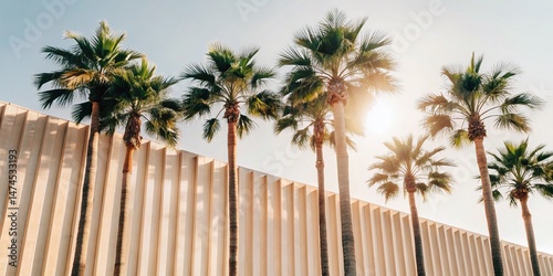 Lush Palm Trees in a Sunny Park - Vibrant Architectural Landscape Photography