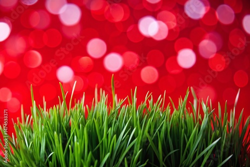 Lush Spring Lawn with Bokeh Background - Vibrant Green Grass Texture Stock Photo
