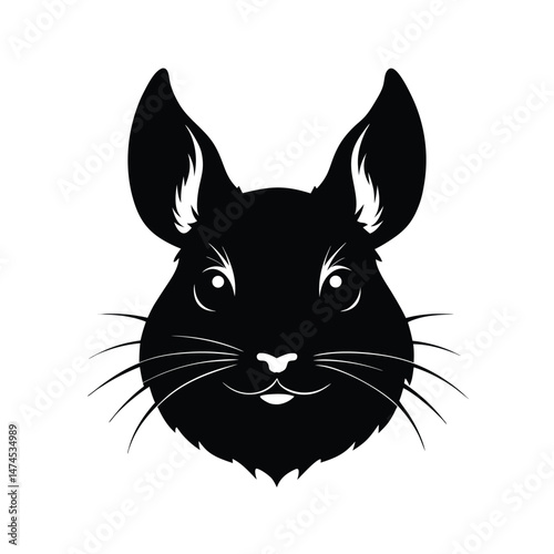 chinchilla after head black silhouette 