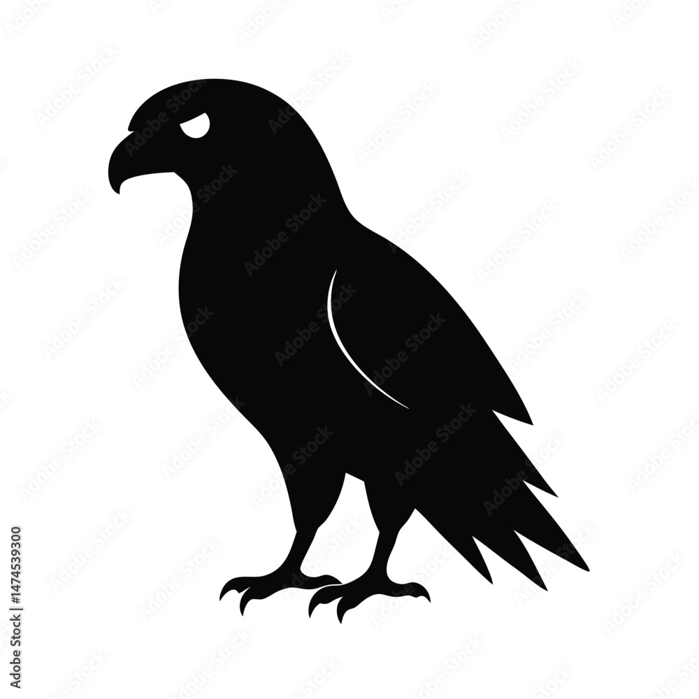 Fototapeta premium hawk black head silhouette