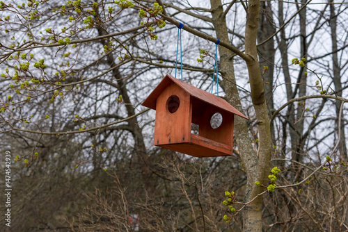 wooden bird house