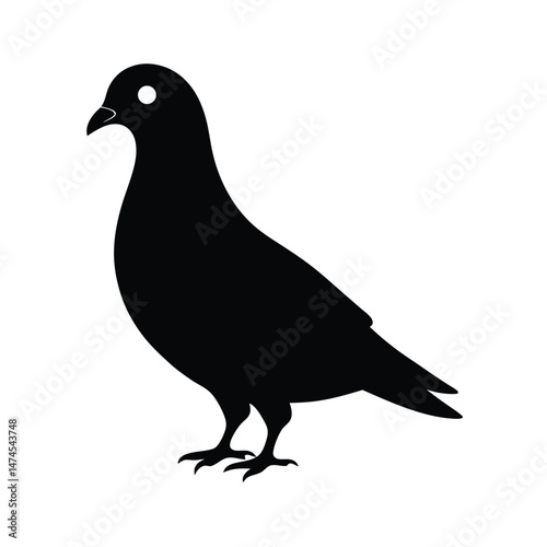 pigeon black head silhouette 