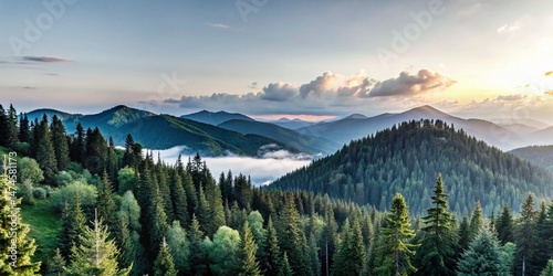 Panoramic Summer Evening: Lush Green Mountain Forest Landscape