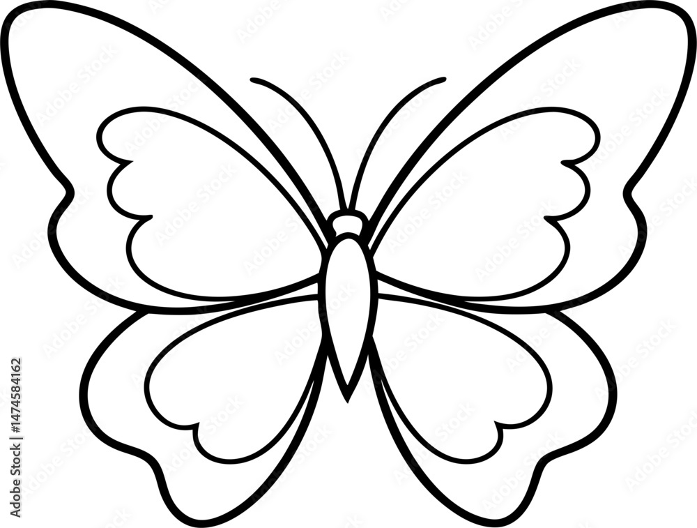 butterfly on white background butterfly on white background