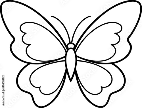 butterfly on white background