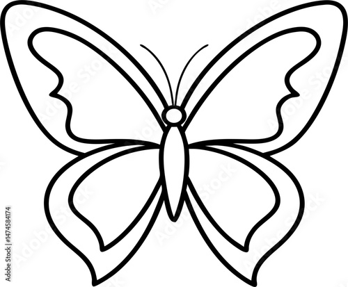 butterfly vector illustration