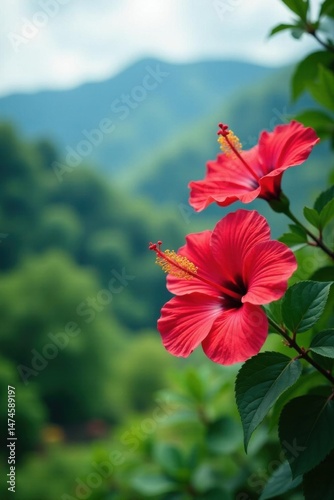 Vibrant hibiscus blooms against soft-focus tropical hills , exotic, landscape