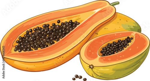 Papaya illustration vector design, Papaya with papaya slice in white background vector design