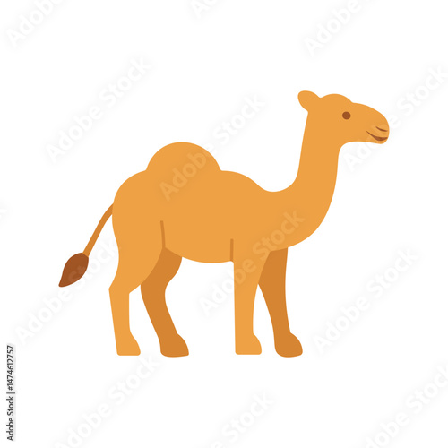 Flat Cartoon Camel Illustration – Cute Desert Animal Vector for Eid al-Adha and Safari Theme