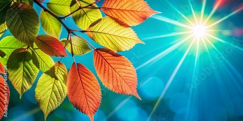 Summer Sunlight Dappled Through Lush Green Leaves - Nature Stock Photo