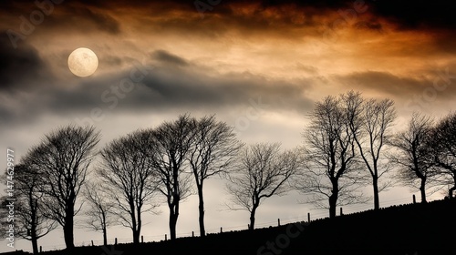 Silhouette of Trees Against Dramatic Sky and Full Moon Overcast Landscape at Dusk