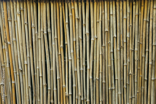 Background, texture, bamboo, brown, a look from the outside at simple things.