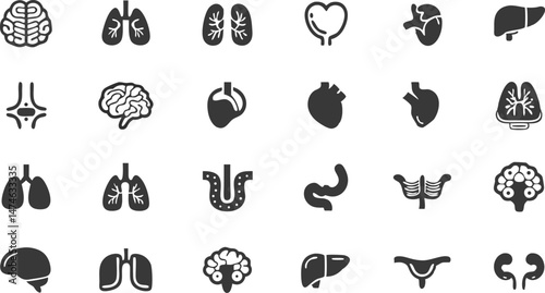 human organ  anatomy icon set  vector glyph pictog.eps