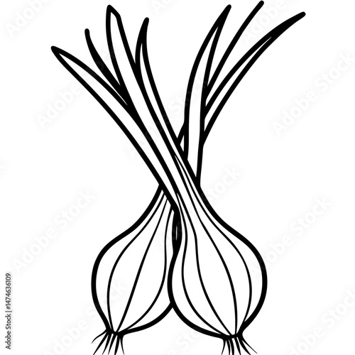 Minimalist Scallions Vector Illustration
