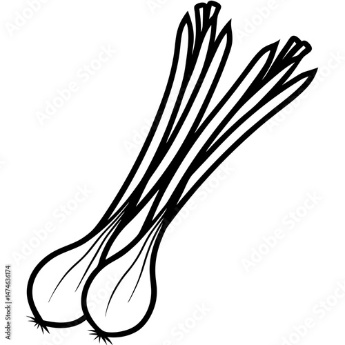 Minimalist Scallions Vector Illustration