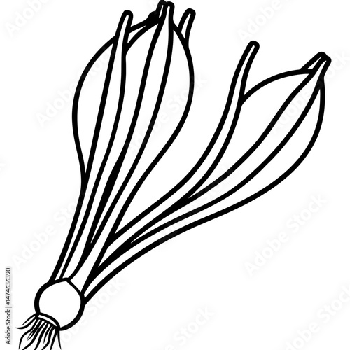 Minimalist Scallions Vector Illustration