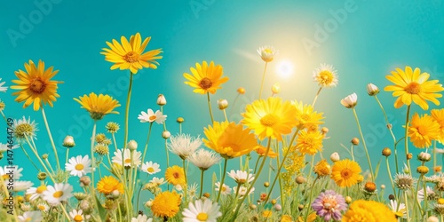 Vibrant Wildflowers in Full Bloom, High-Resolution Stock Photo