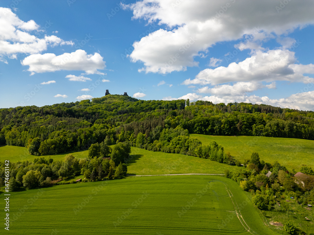 Naklejka premium Aerial view of Trosky Castle with towers Baba and Panna rising above the green landscape of forests and meadows, a famous and popular historical site in the Czech Republic