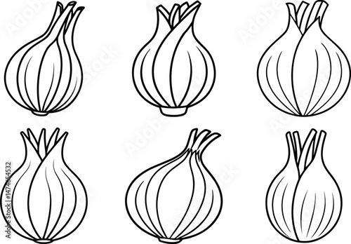 Set of onion outline vector illustration, line art