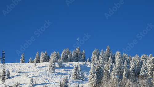 Stunning winter landscape p...