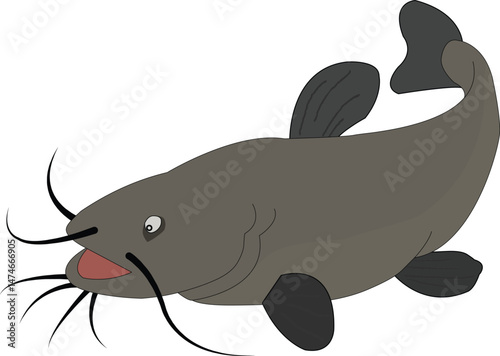 2d fish magur fish illestrasion