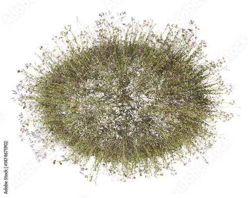 Top view Colorful flowers and grass field in nature with isolated on transparent background - PNG file, 3D rendering for create and design or etc