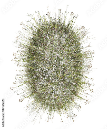 Top view Colorful flowers and grass field in nature with isolated on transparent background - PNG file, 3D rendering for create and design or etc
