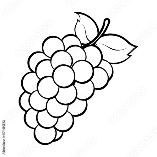 Grapes fruit bunch line art with leaf black and white vector illustration design  line art vector illustration design