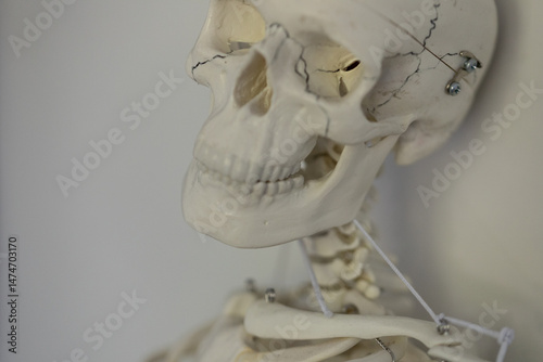 Detailed close-up of a huma...