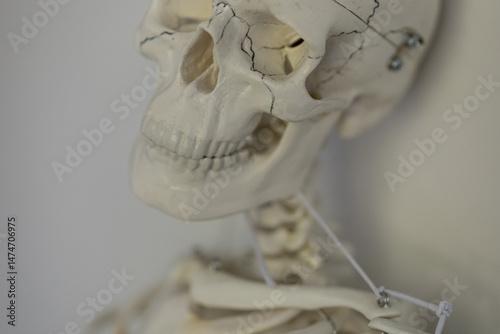 Detailed close-up of a huma...