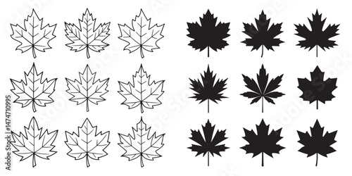 Simple Line Drawings outline of Maple Leaves, Black Silhouettes of vector set Maple Leaves