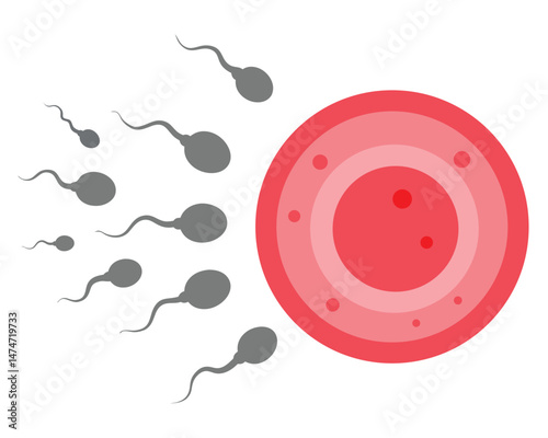 Conceptual Illustration of Sperm Approaching an Egg in Human Reproduction Process