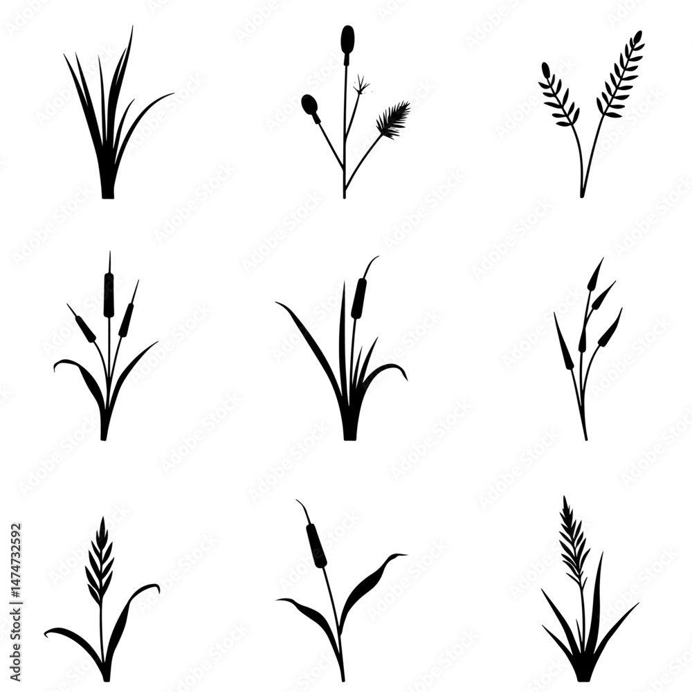 Grass silhouette set in white background