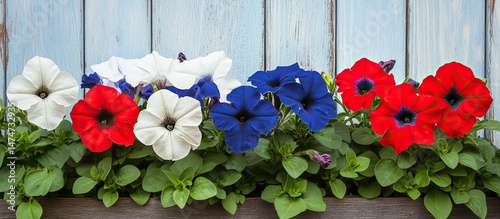 Patriotic Petunias