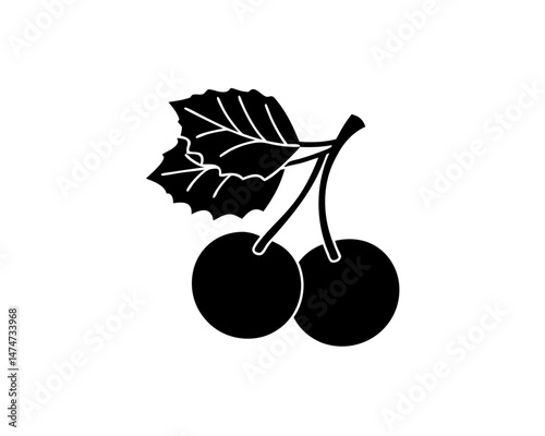 creative details Outline silhouette Cherry icon Vector Illustration 