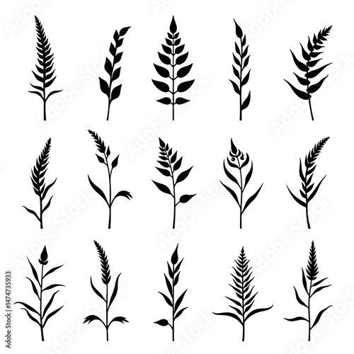 Grass silhouette set in white background