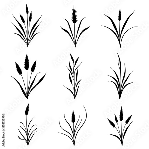Grass silhouette set in white background