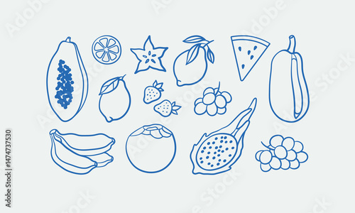 Hand-drawn tropical fruit illustrations. Line art, ink, minimalist style. Vector illustration. Summer collection.