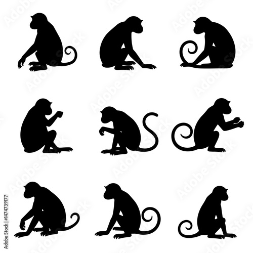 Set monkey silhouette isolated vector on white background

