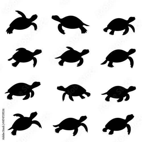 Set turtle silhouette isolated vector on white background


