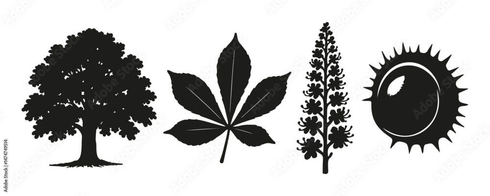 Foto Horse Chestnut Tree Elements Vector Set