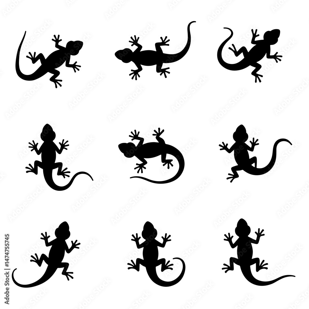 Set lizard silhouette isolated vector on white background

