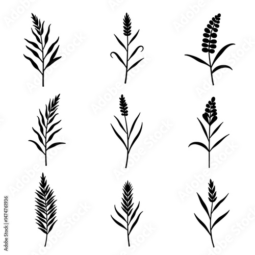 Grass silhouette set in white background
